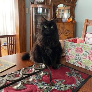 Meet your Posher, Patti